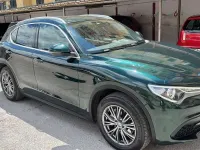 Usata Alfa Romeo Stelvio Business 190 CV (139 kW) 2019 Verde SUV