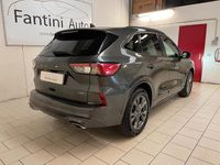 Usata Ford Kuga ST-Line X 152 CV (111 kW) 2023 Grigio SUV