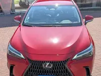 Usata Lexus NX350h 190 CV (139 kW) 2024 SUV