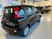 usata Fiat Panda 1.0 70cv Hybrid My24 KM0 "Pronta consegna"