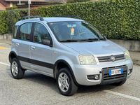Usata Fiat Panda 4x4 69 CV (50 kW) 2009 Grigio Utilitaria