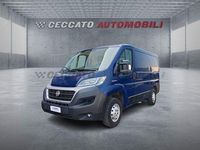 Usata Fiat Ducato 116 CV (85 kW) 2019 Blu Furgone