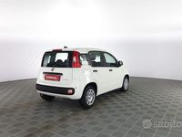 Nuova Fiat Panda Icon 65 CV (47 kW) 2025 Bianco Utilitaria