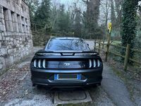 usata Ford Mustang Fastback 2.3 ecoboost 290cv auto my19