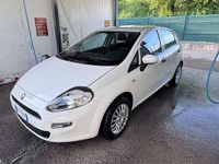 Usata Fiat Punto Young 69 CV (50 kW) 2016 Bianco Utilitaria