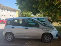 Usata Fiat Panda 69 CV (50 kW) 2016 Grigio Utilitaria