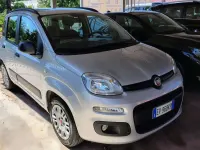 Usata Fiat Panda Easy 69 CV (50 kW) 2014 Argento Utilitaria