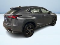 usata Lexus NX300 300 2.5 Hybrid Sport 4WD CVT