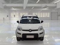 Usata Fiat Panda 4x4 Wild 85 CV (62 kW) 2022 Utilitaria
