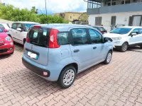 Usata Fiat Panda 69 CV (50 kW) 2018 Grigio Utilitaria