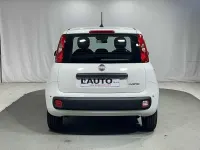 Nuova Fiat Panda S 69 CV (50 kW) 2025 Bianco Utilitaria