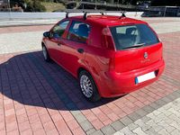 Usata Fiat Punto Street 69 CV (50 kW) 2017 Rosso Utilitaria