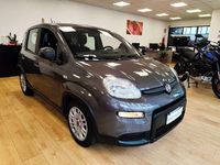 Usata Fiat Panda S 69 CV (50 kW) 2023 Grigio Utilitaria