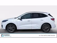 Usata Ford Kuga ST-Line X 225 CV (165 kW) 2023 Bianco frozen SUV