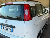 Usata Fiat Panda 85 CV (62 kW) 2016 Bianco Utilitaria