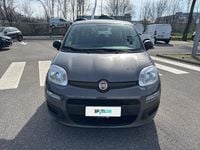 Usata Fiat Panda S 70 CV (51 kW) 2021 Grigio Utilitaria