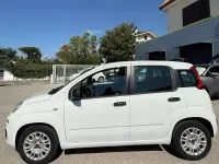 Usata Fiat Panda Easy 75 CV (55 kW) 2014 Bianco Utilitaria