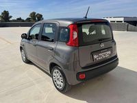 Usata Fiat Panda S 69 CV (50 kW) 2022 Grigio Utilitaria