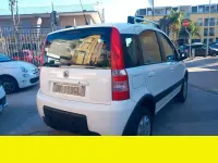 Usata Fiat Panda 60 CV (44 kW) 2009 Other Utilitaria