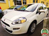 usata Fiat Punto 1.2 8V 5 porte Street NEOPATENTATI