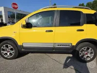 Usata Fiat Panda Cross Cross 95 CV (69 kW) 2016 Giallo Utilitaria