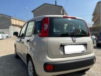 usata Fiat Panda Panda 1.2 Easy