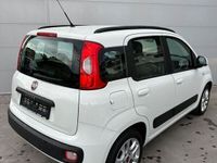 usata Fiat Panda 1.2 Lounge