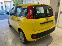Nuova Fiat Panda Icon 69 CV (50 kW) 2026 Giallo Utilitaria