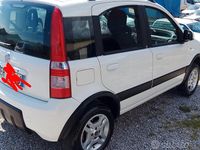 Usata Fiat Panda 2011 Bianco Utilitaria