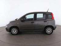 Usata Fiat Panda 69 CV (50 kW) 2023 Grigio Utilitaria
