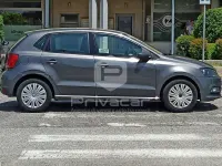 Usata VW Polo Trendline 60 CV (44 kW) 2014 Grigio Utilitaria