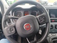 Usata Fiat Panda Cross Cross 70 CV (51 kW) 2023 Nero Utilitaria