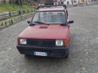 usata Fiat Panda 1100 i.e. cat Young