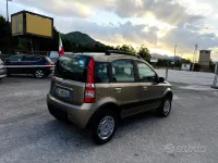 Usata Fiat Panda 4x4 Climbing 69 CV (50 kW) 2006 Beige Utilitaria