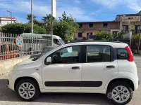 Usata Fiat Panda 54 CV (39 kW) 2013 Bianco Utilitaria