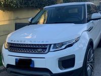 usata Land Rover Range Rover evoque 5p 2.0 td4 Pure 150cv