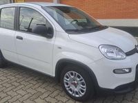 Usata Fiat Panda S 69 CV (50 kW) 2023 Bianco Utilitaria