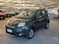 Usata Fiat Panda 4x4 Lounge 75 CV (55 kW) 2013 Verde Utilitaria