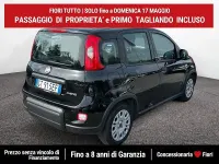 Usata Fiat Panda S 69 CV (50 kW) 2024 Nero Utilitaria