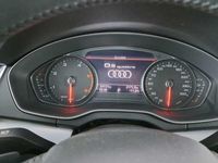 usata Audi Q5 35 TDI Business Sport quattro S tronic