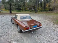 Usata Alfa Romeo Spider Veloce 128 CV (94 kW) 1981 Cabrio