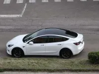 Usata Tesla Model 3 Standard Range 88 kW (120 CV) 2021 Berlina