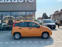 Usata Fiat Panda S 69 CV (50 kW) 2021 Arancione Utilitaria