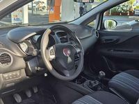 Usata Fiat Punto Evo Active 75 CV (55 kW) 2012 Utilitaria