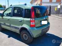 Usado Fiat Panda 4x4 69 HP (50 kW) 2010 Verde Citadino