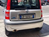 Usata Fiat Panda Dynamic 60 CV (44 kW) 2005 Other Utilitaria