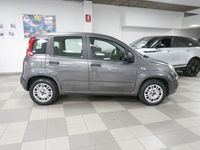 usata Fiat Panda 3ª serie 1.2 EasyPower Easy