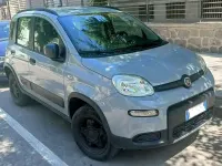 Usata Fiat Panda 4x4 S 84 CV (61 kW) 2019 Grigio Utilitaria
