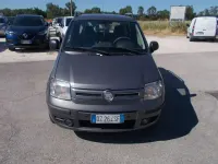 Usata Fiat Panda Dynamic 60 CV (44 kW) 2009 Grigio Utilitaria
