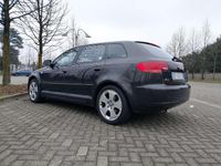 Usata Audi A3 Ambition 116 CV (85 kW) 2007 Utilitaria